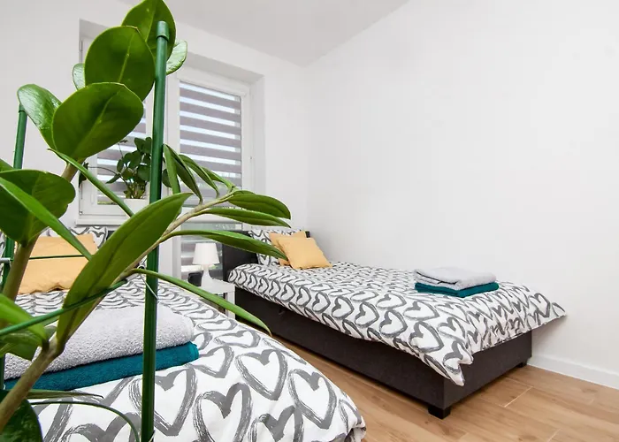 Apartament Chelm City